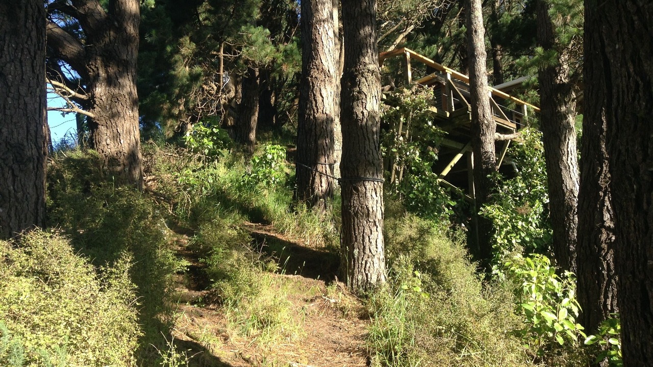 Photo of Others in Koputaroa