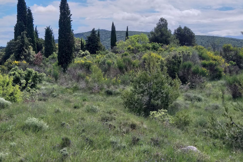 Photo of Others in Montirat