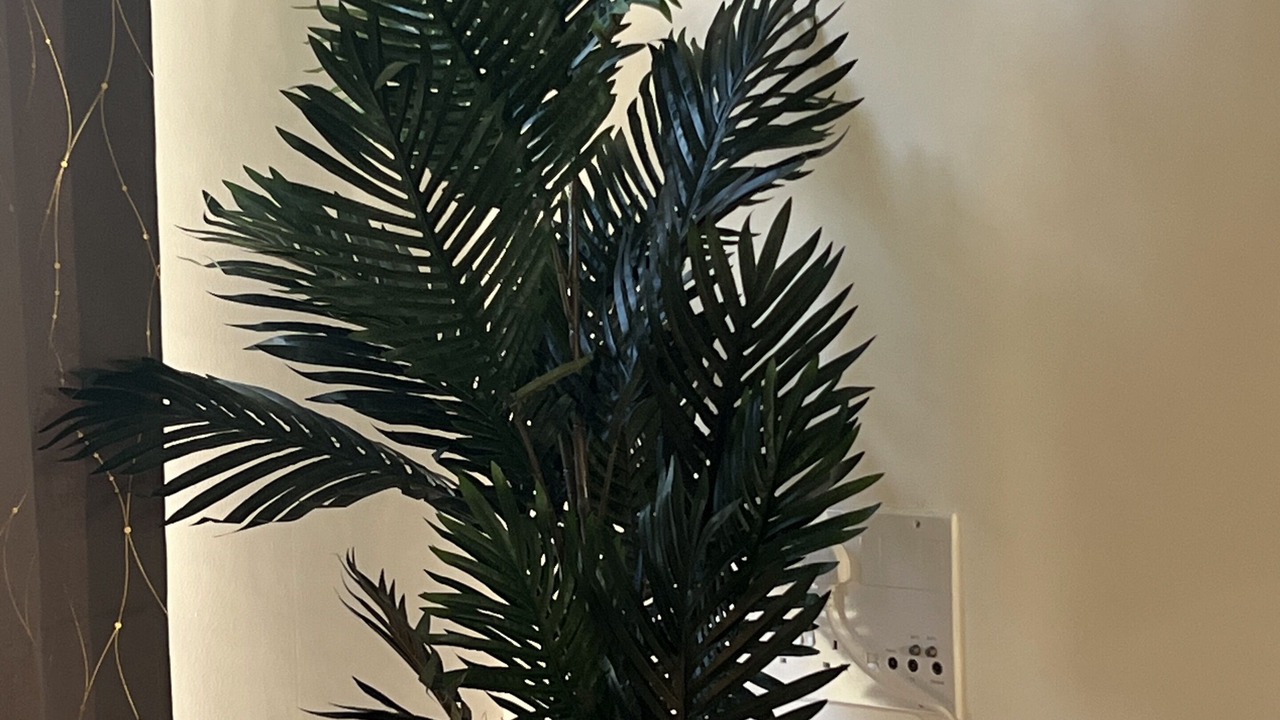 Photo of Others in Sheffield