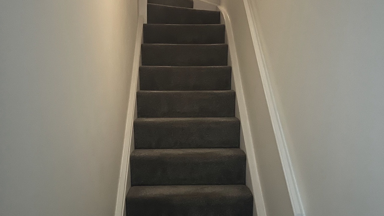 Photo of Others in Sheffield