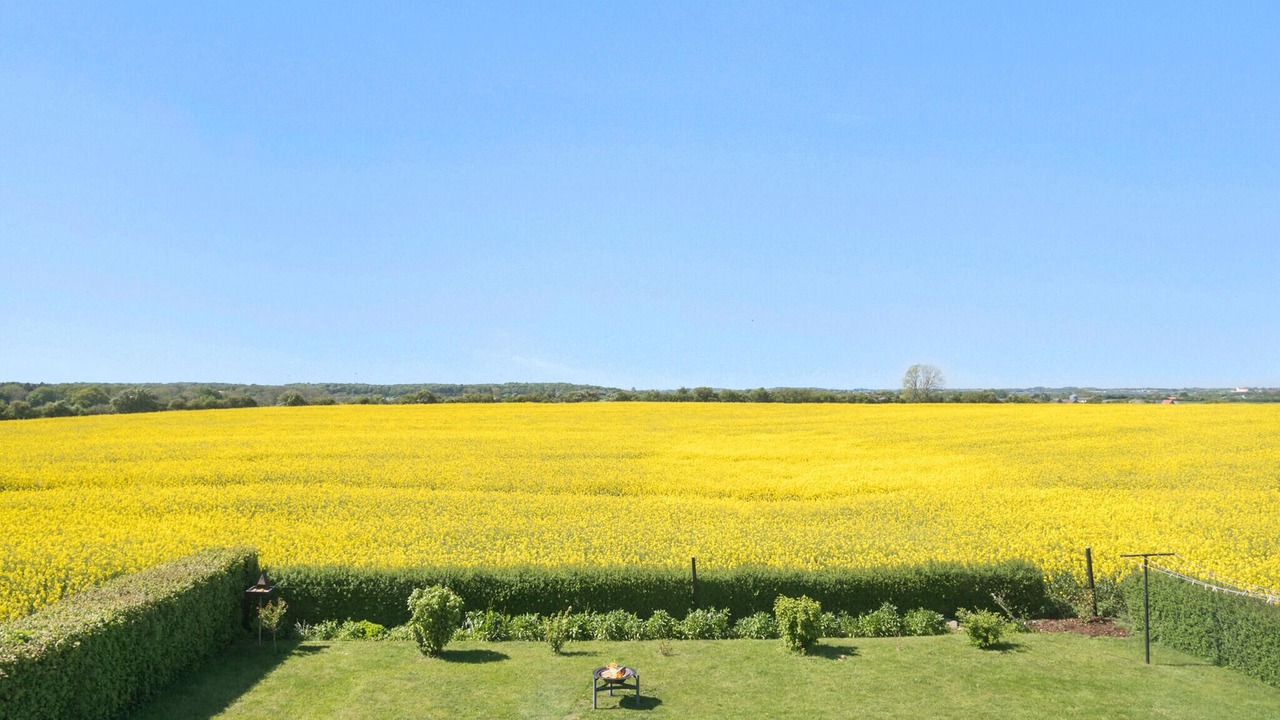 Photo of Outdoor in Korsor