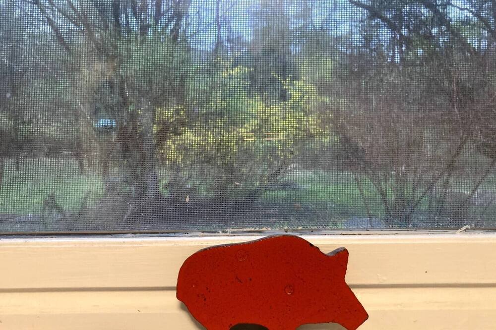 Photo of Bedroom in West Shokan