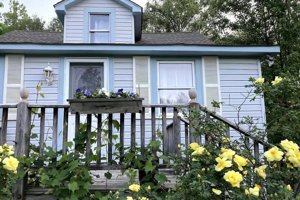 Photo of Outdoor in West Shokan