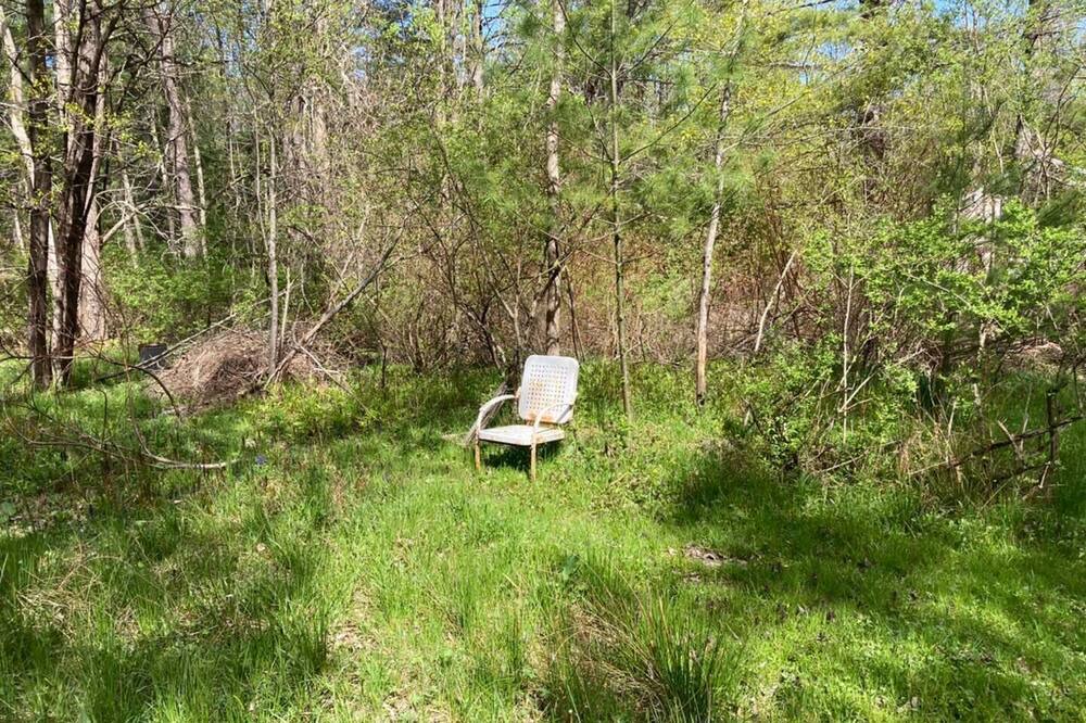 Photo of Outdoor in West Shokan