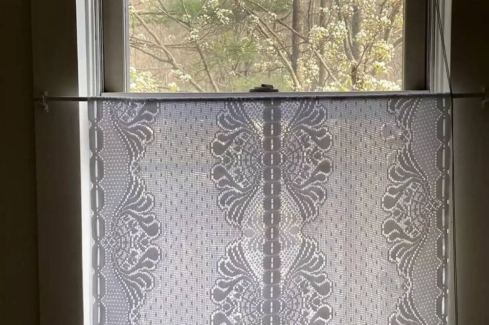 Photo of Others in West Shokan