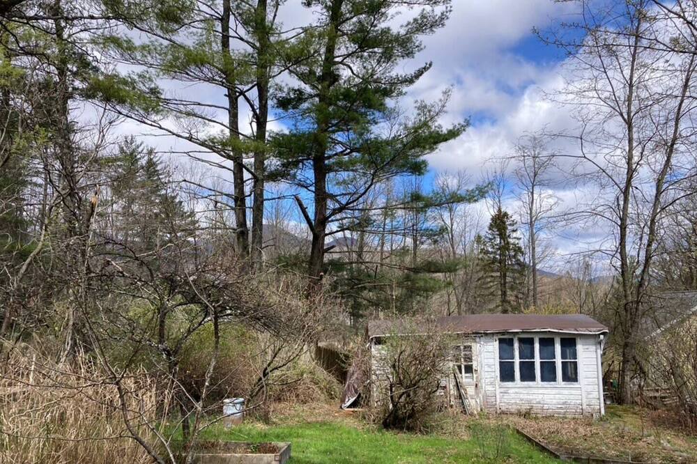 Photo of Outdoor in West Shokan