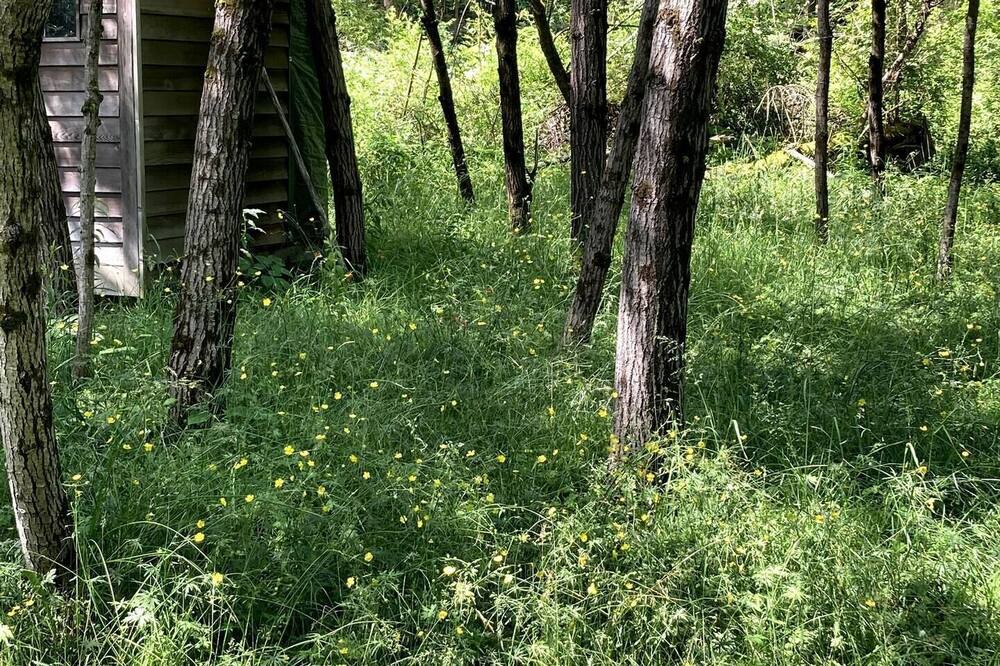 Photo of Others in West Shokan