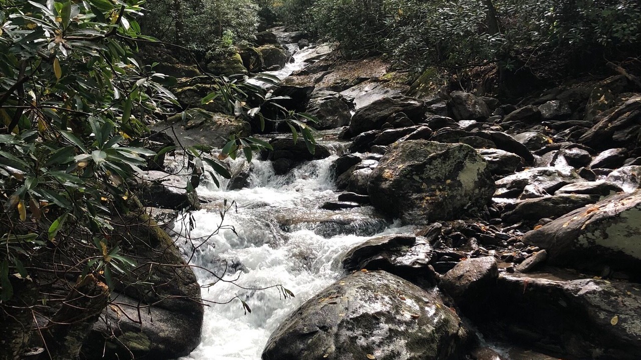 Photo of Outdoor in Cattail Creek