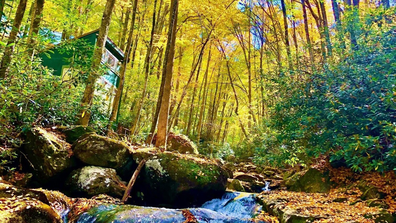 Photo of Outdoor in Cattail Creek