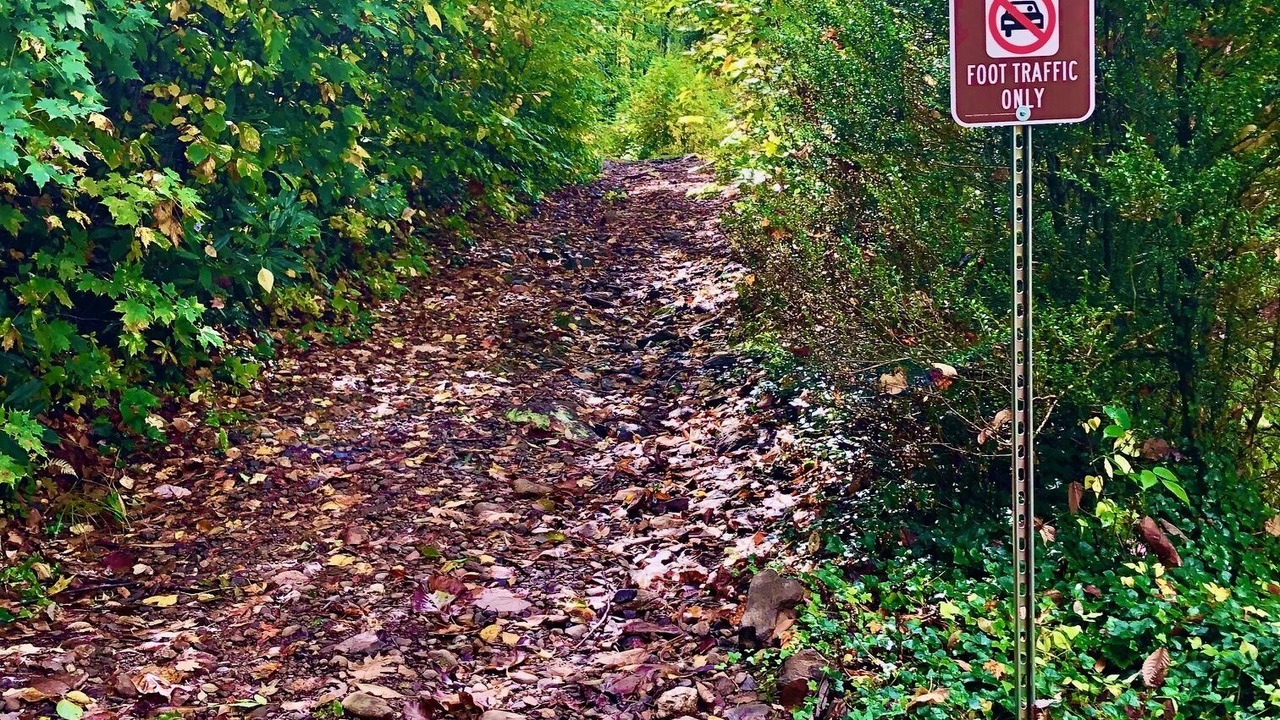 Photo of Outdoor in Cattail Creek