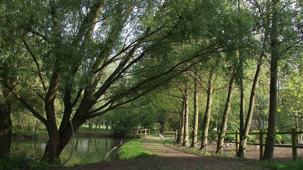 Photo of Outdoor in Monchaux