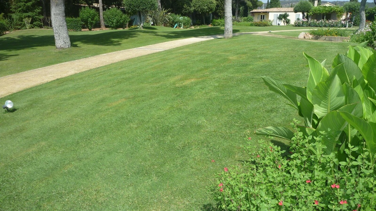 Photo of Outdoor in Mireval