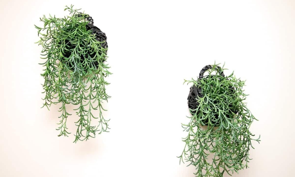 Photo of Others in Harbourside