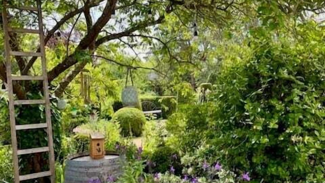 Photo of Outdoor in Saint-Leger-en-Yvelines