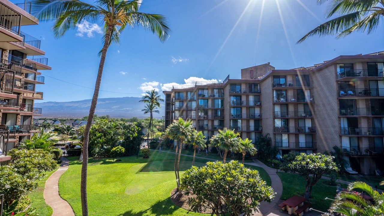 Photo of Outdoor in Kihei