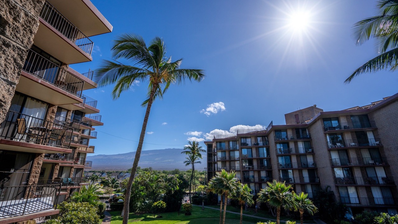 Photo of Outdoor in Kihei