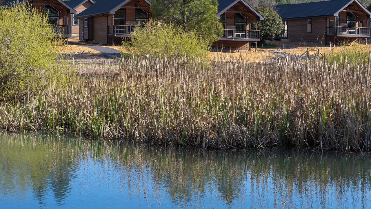 Photo of Outdoor in Groveland