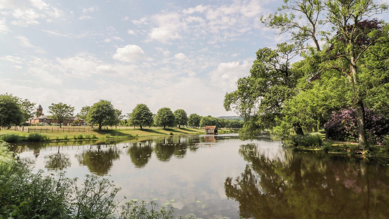 Photo of Others in Newbridge