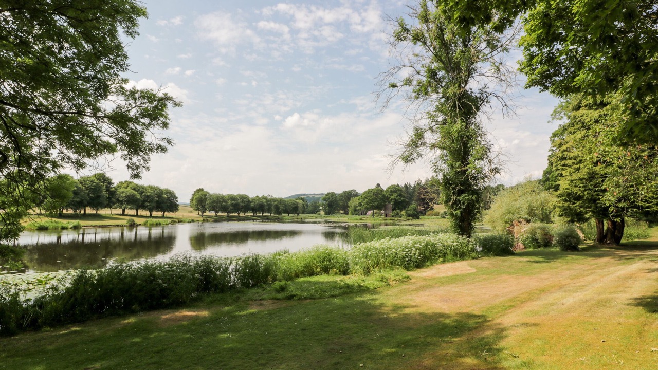 Photo of Others in Newbridge