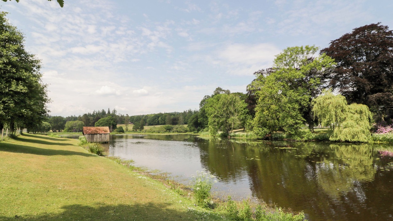 Photo of Others in Newbridge