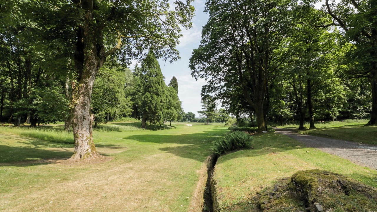 Photo of Others in Newbridge