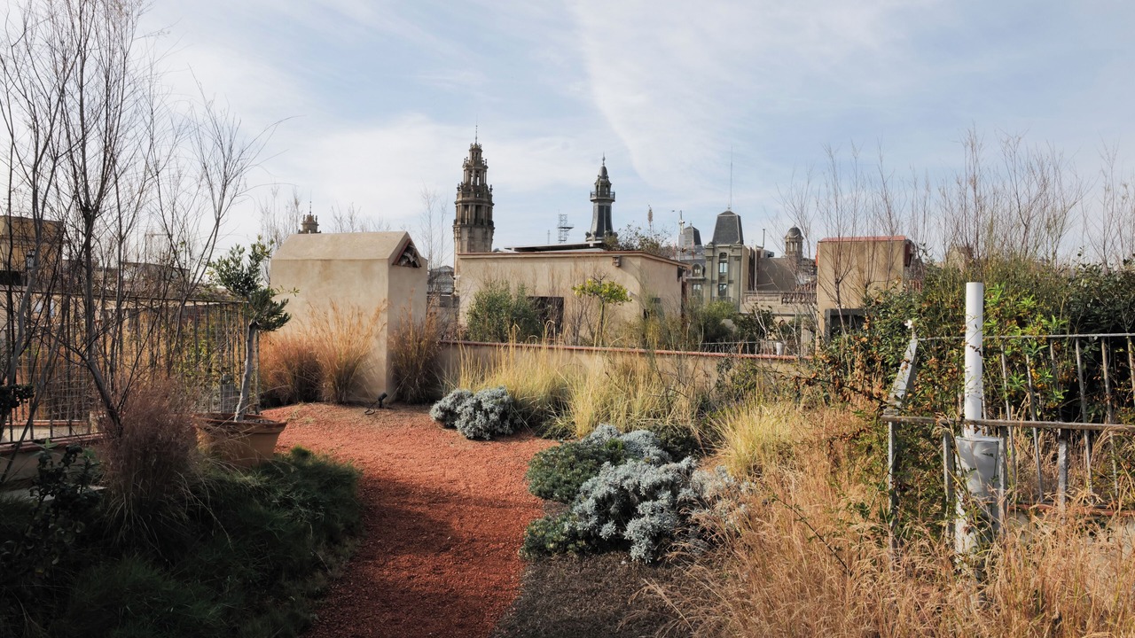 Photo of Outdoor in Ciutat Vella