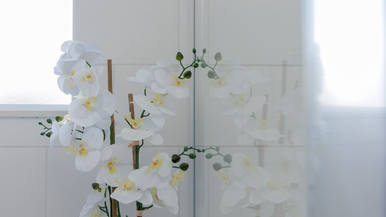 Photo of Others in Caerphilly