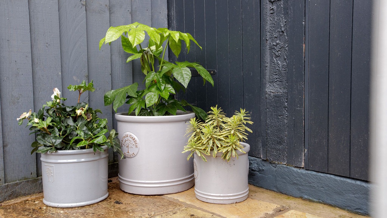 Photo of Others in Caerphilly