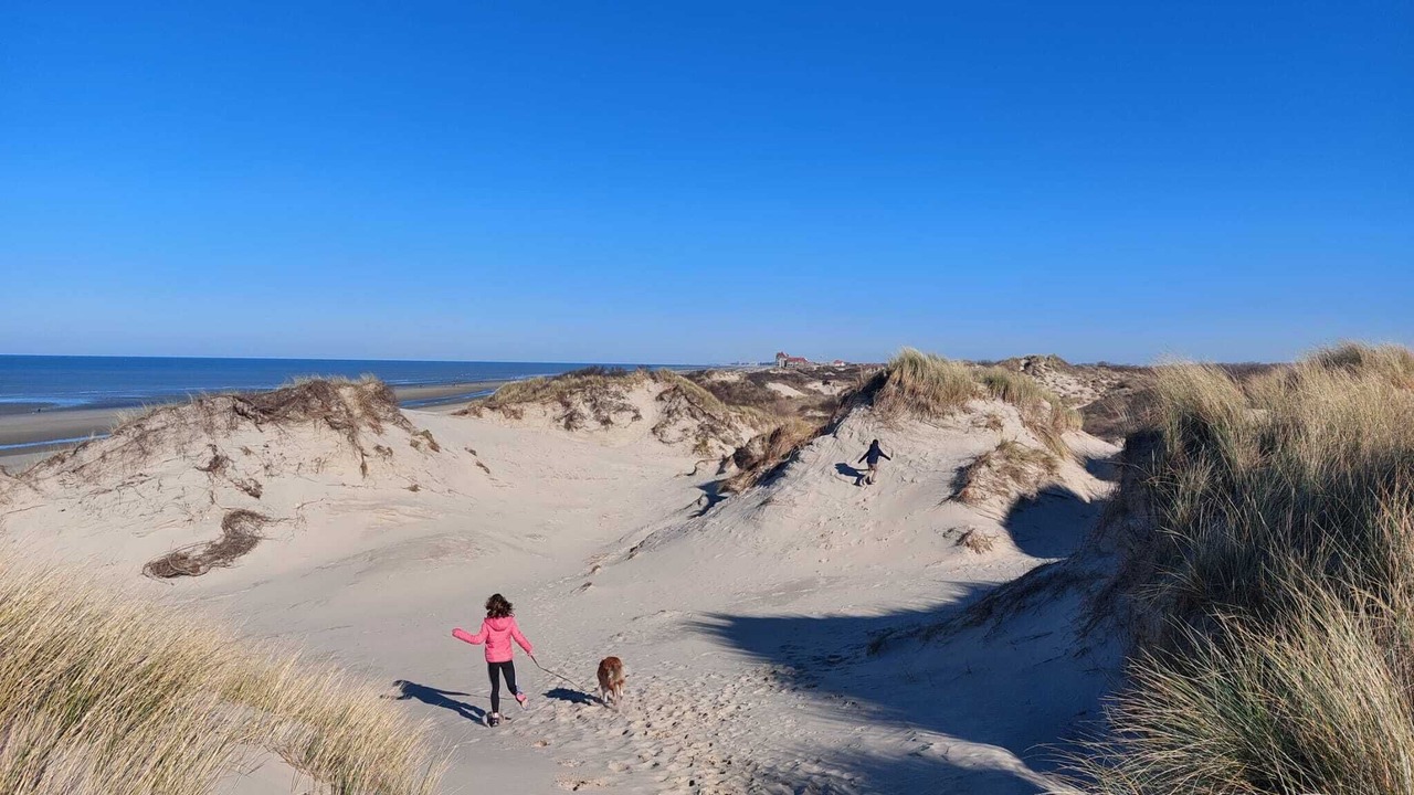 Photo of Others in Bray-Dunes