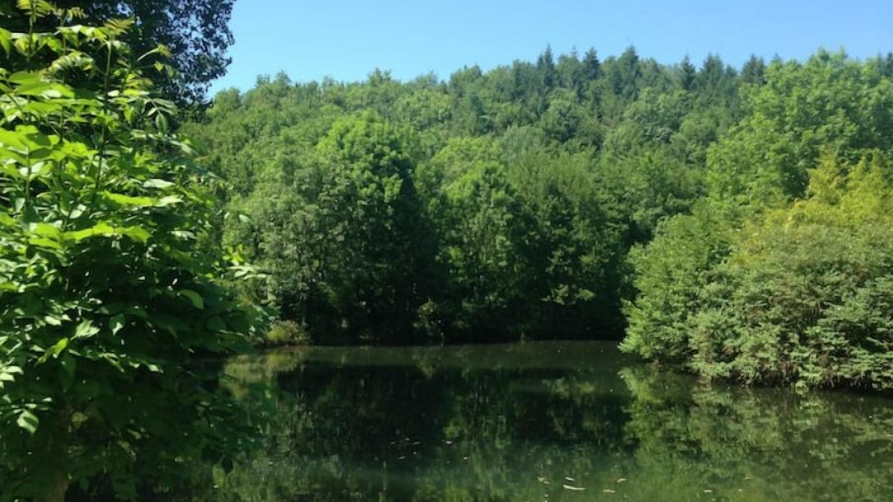 Photo of Outdoor in Terre-Clapier