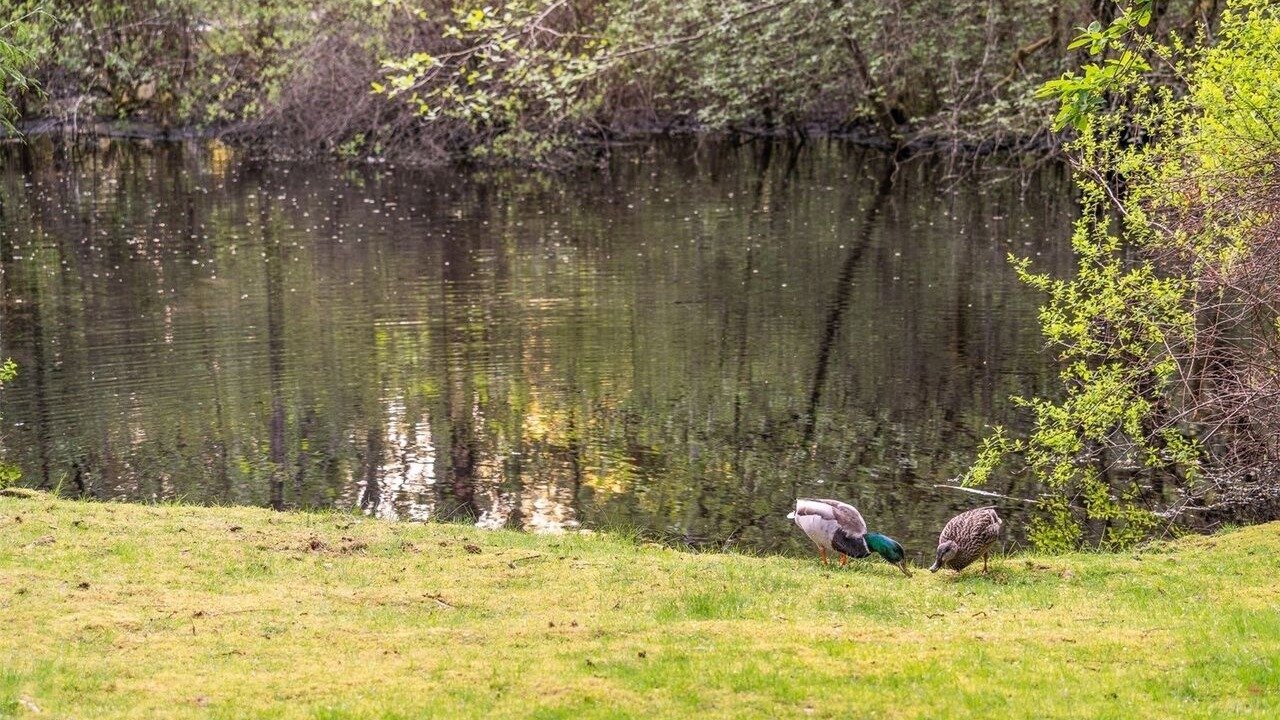 Photo of Outdoor in Silver Lake