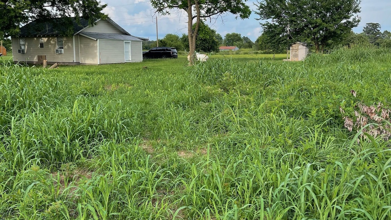 Photo of Outdoor in Gentry