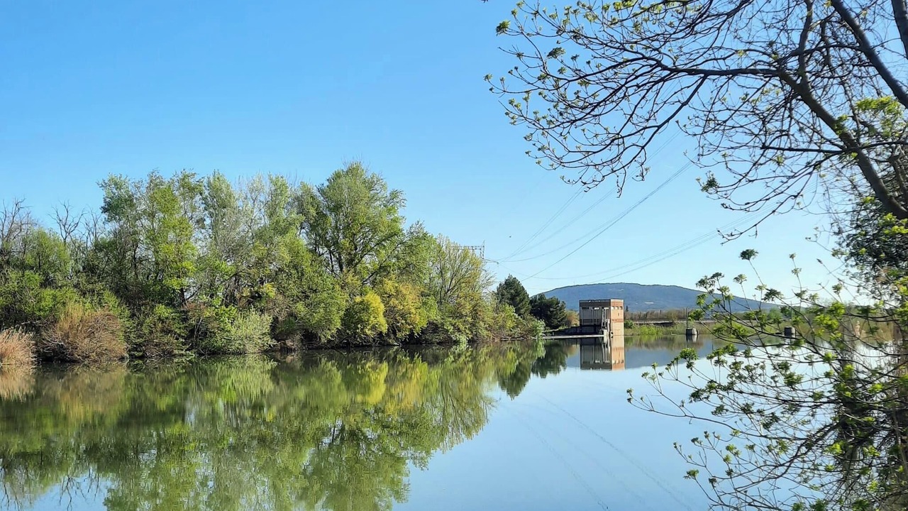 Photo of Outdoor in Tourouzelle