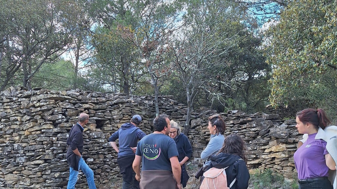 Photo of Outdoor in Tourouzelle