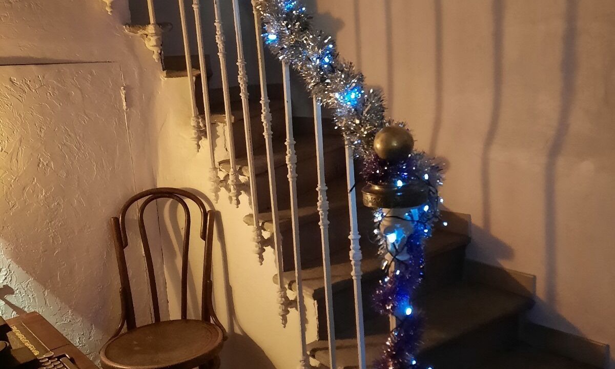 Photo of Others in Tourouzelle