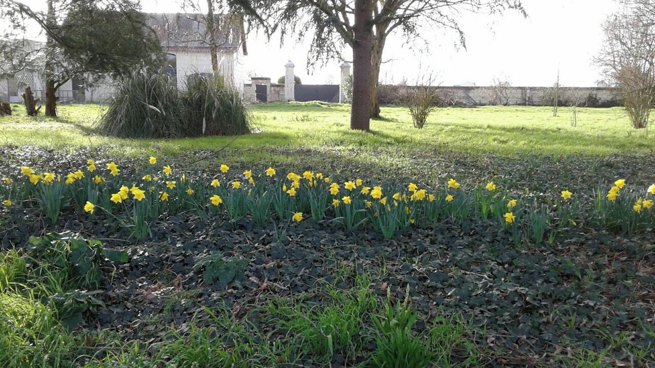 Photo of Outdoor in Chouze-sur-Loire