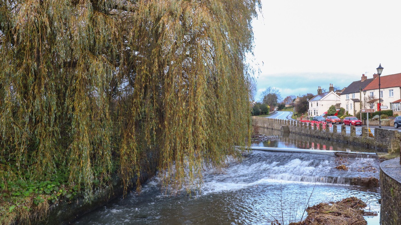 Photo of Others in Bedale