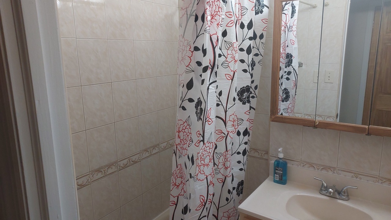 Photo of Others in Valley Stream