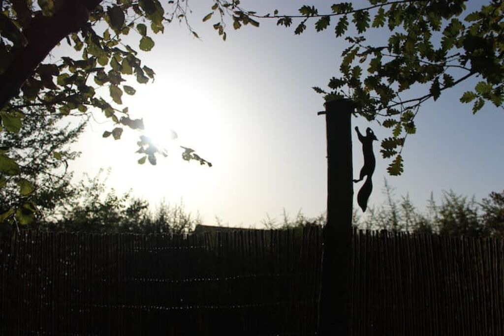 Photo of Others in Beaumont