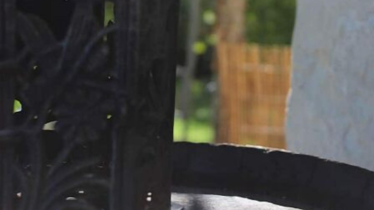 Photo of Outdoor in Beaumont