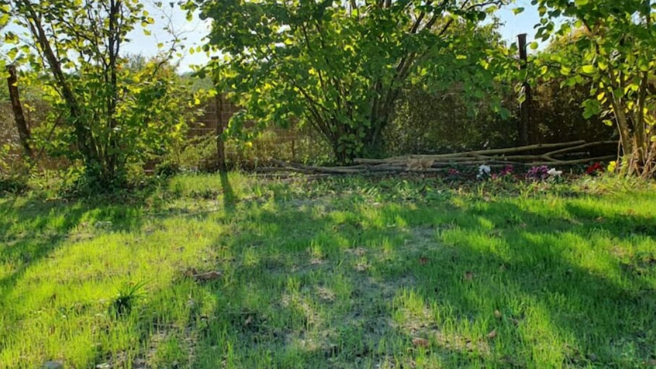 Photo of Outdoor in Beaumont