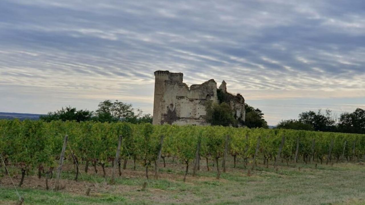 Photo of Others in Beaumont