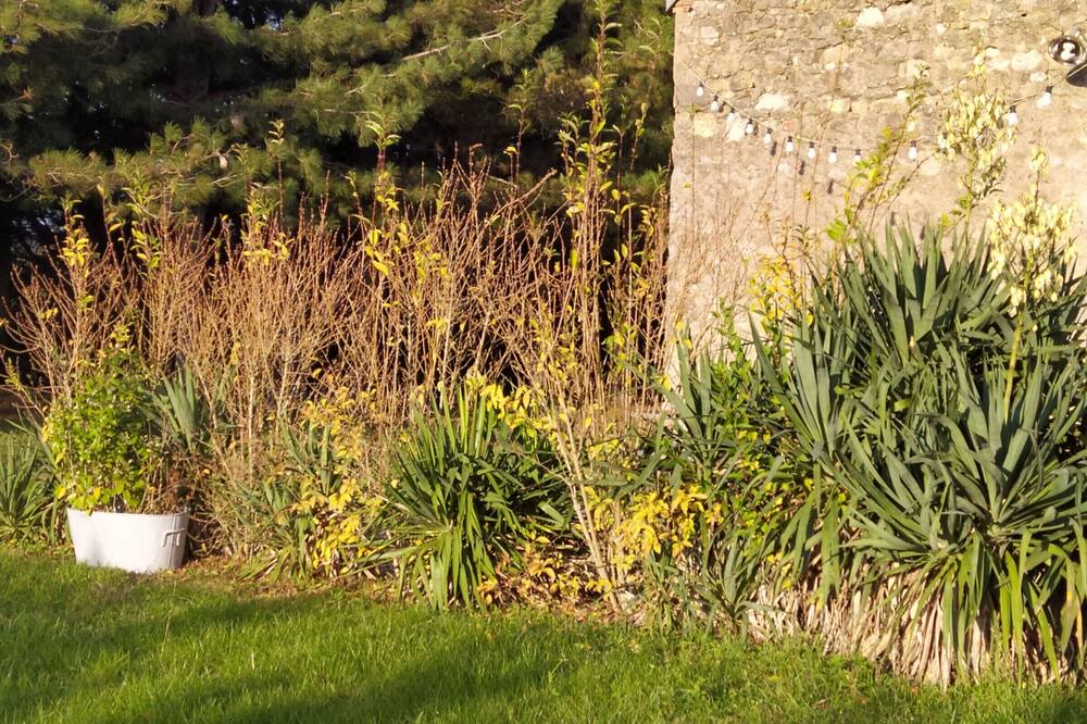 Photo of Outdoor in Saint-Benoit-sur-Loire