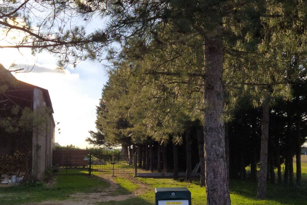Photo of Outdoor in Saint-Benoit-sur-Loire