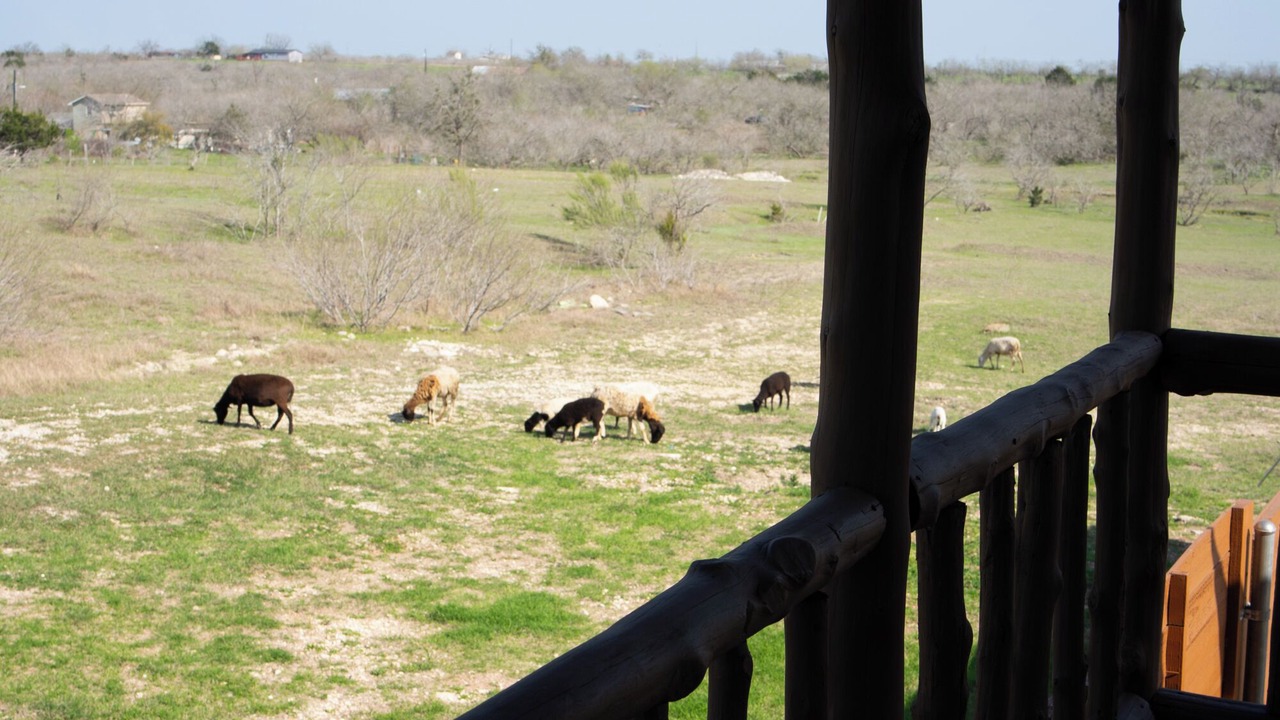 Photo of Outdoor in Travis County