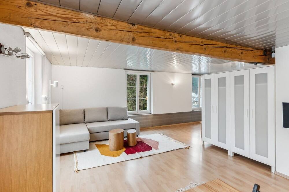 Photo of Livingroom in Dietikon District