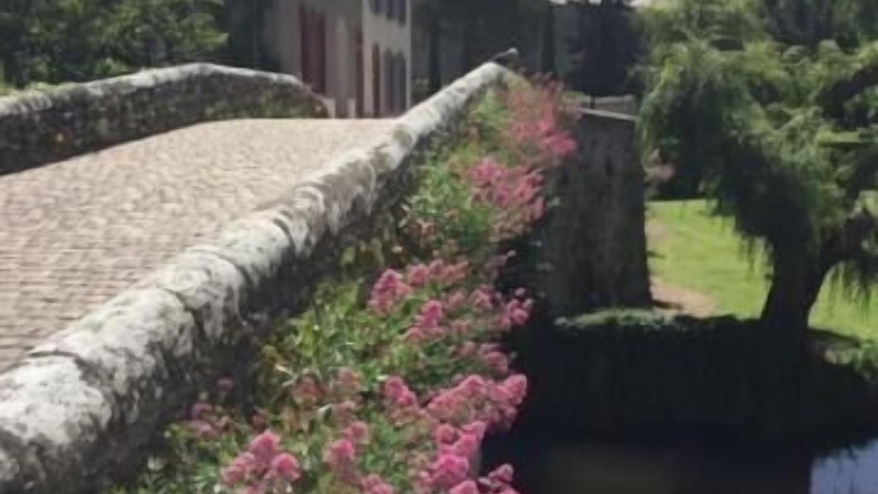 Photo of Outdoor in Clisson