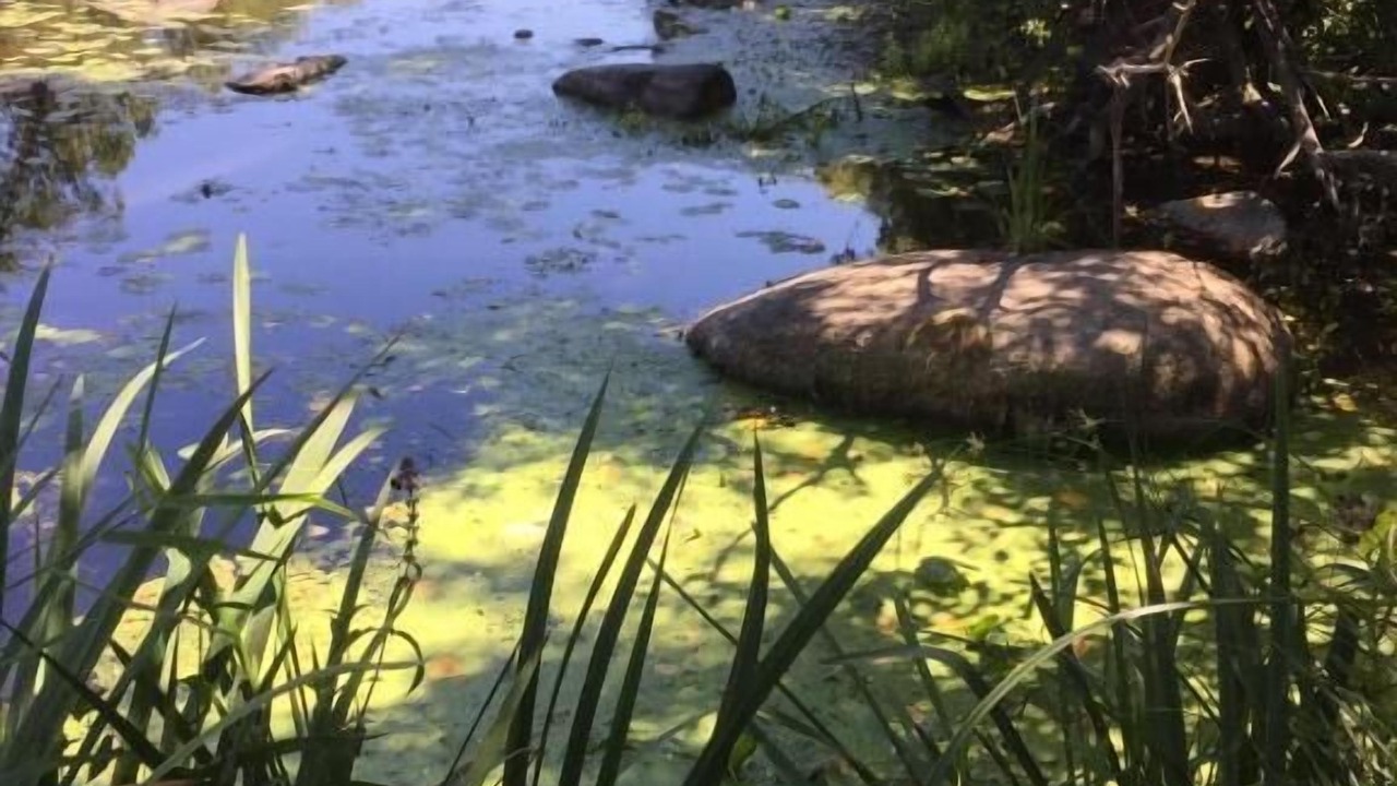 Photo of Outdoor in Clisson