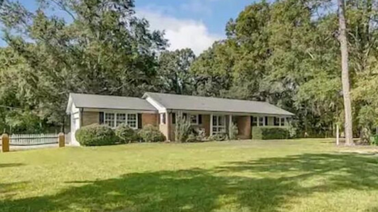 Photo of Others in Wesley Chapel