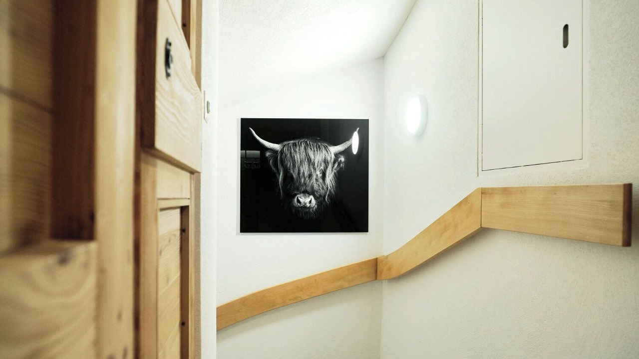 Photo of Others in Appenzell
